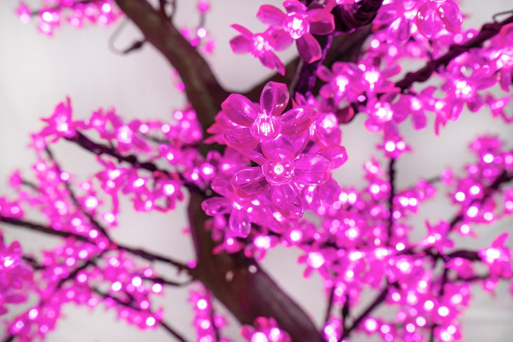 Cherry Trees with LED Lights