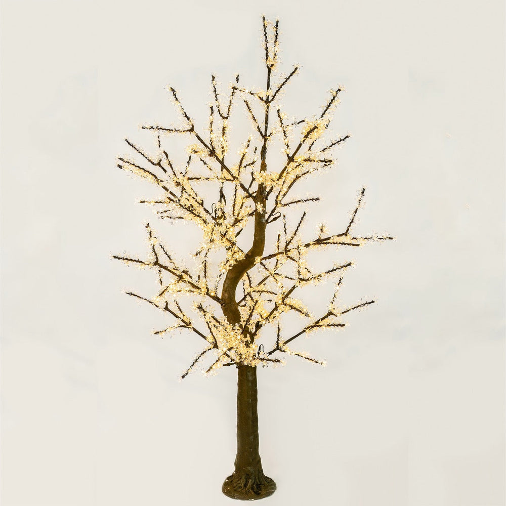 Cherry Trees with LED Lights