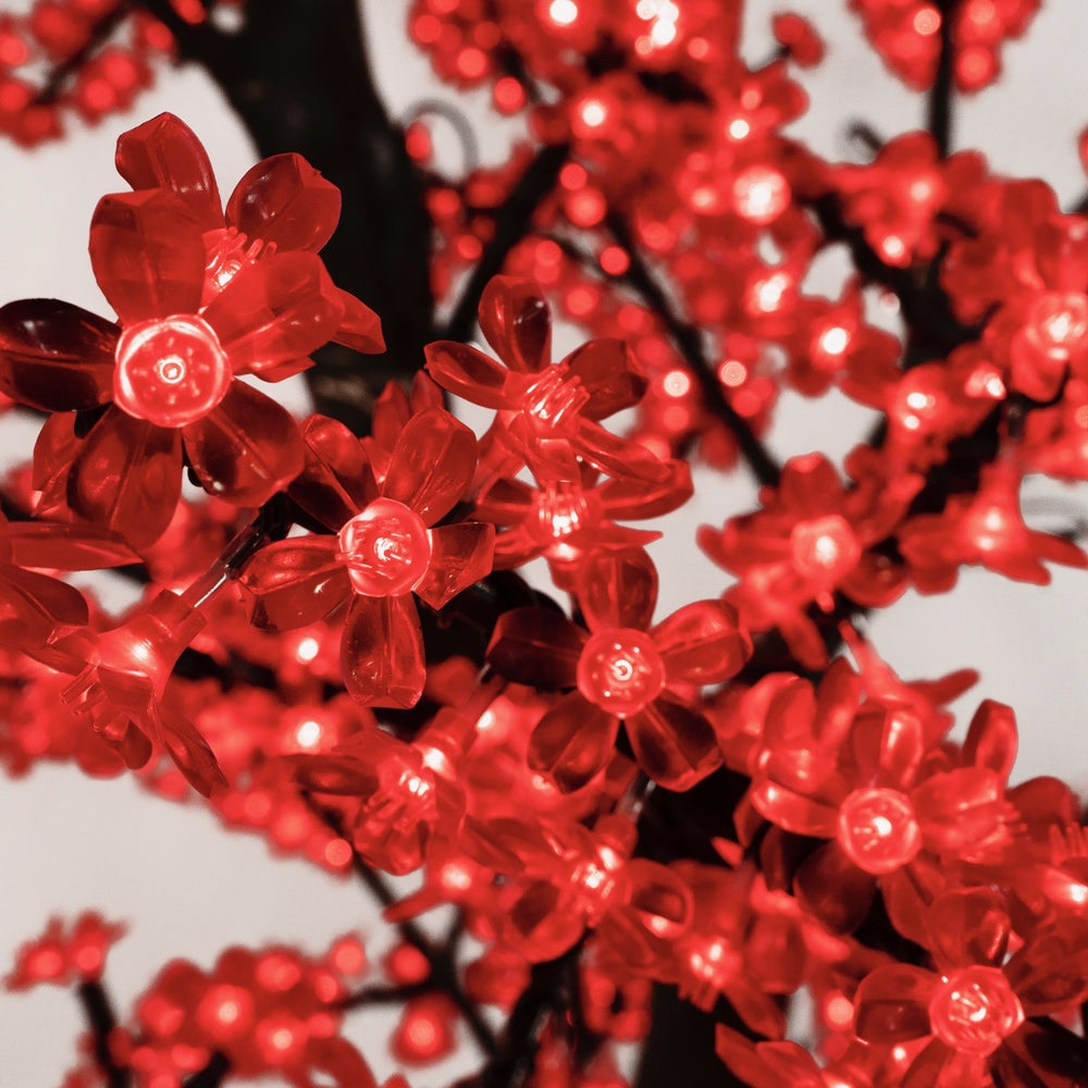Cherry Trees with LED Lights
