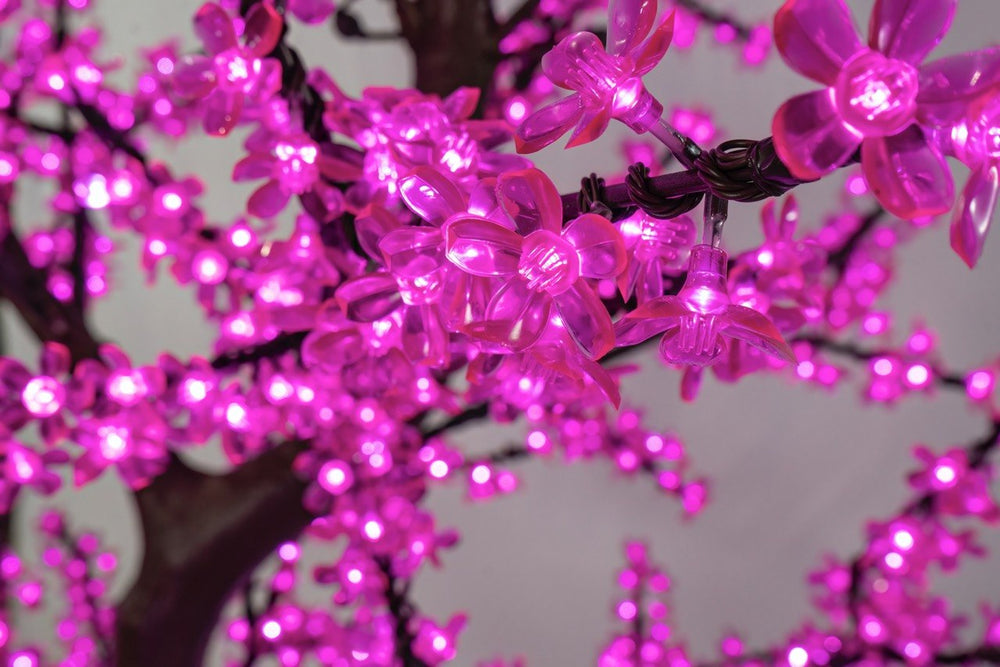 Cherry Trees with LED Lights