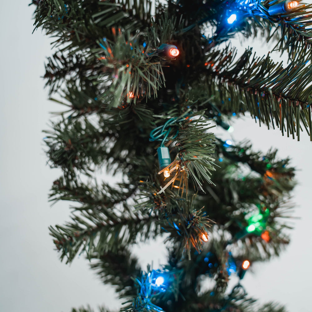 Sequoia Fir Garland